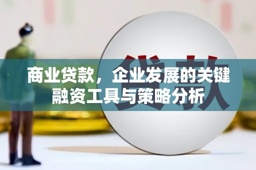 西畴商业贷款，企业发展的关键融资工具与策略分析