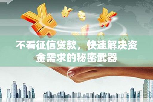 西畴不看征信贷款，快速解决资金需求的秘密武器
