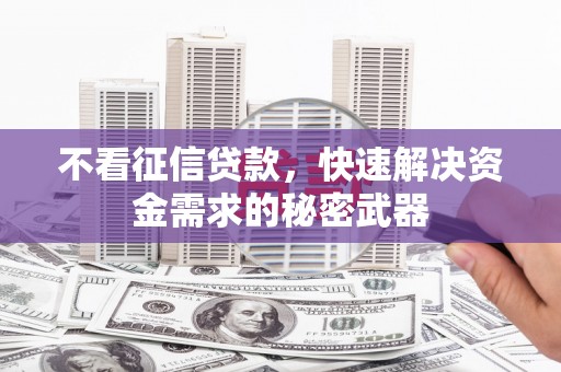 西畴不看征信贷款，快速解决资金需求的秘密武器