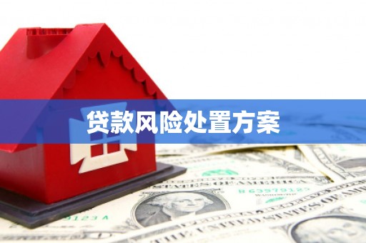 西畴贷款风险处置方案