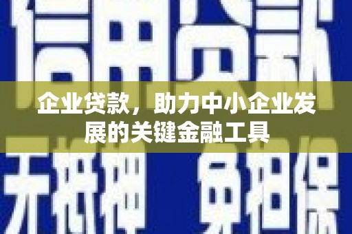 西畴企业贷款，助力中小企业发展的关键金融工具