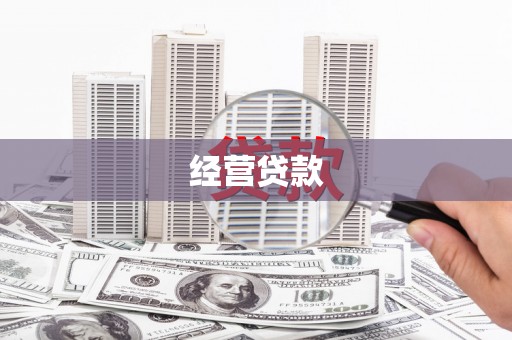 西畴经营贷款