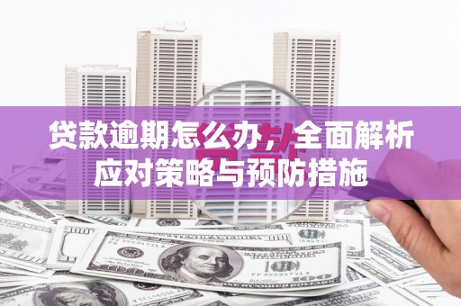 西畴贷款逾期怎么办，全面解析应对策略与预防措施
