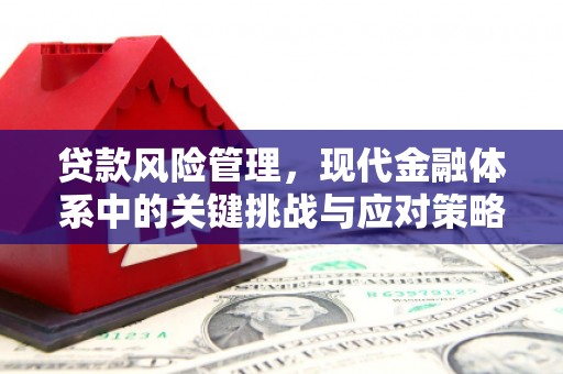 西畴贷款风险管理，现代金融体系中的关键挑战与应对策略