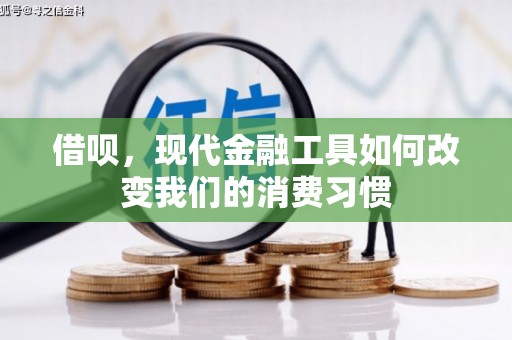 西畴借呗，现代金融工具如何改变我们的消费习惯