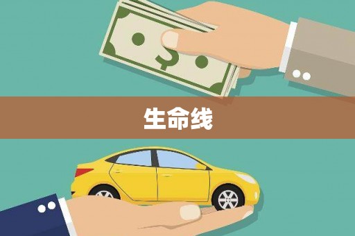 西畴生命线