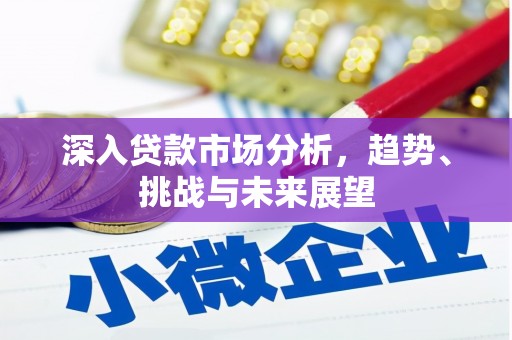 西畴深入贷款市场分析，趋势、挑战与未来展望