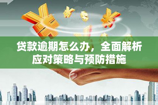 西畴贷款逾期怎么办，全面解析应对策略与预防措施