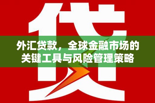 西畴外汇贷款，全球金融市场的关键工具与风险管理策略