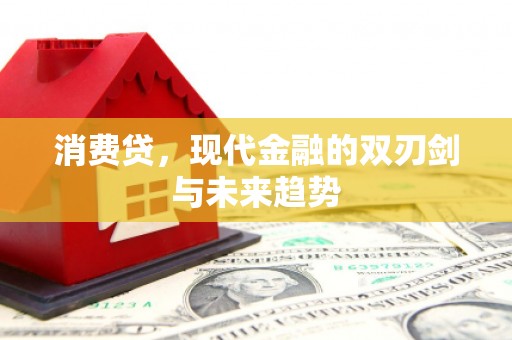 西畴消费贷，现代金融的双刃剑与未来趋势