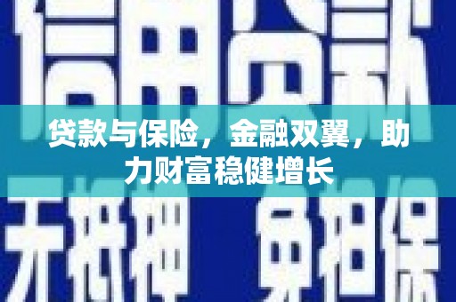西畴贷款与保险，金融双翼，助力财富稳健增长