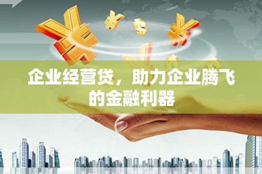 西畴企业经营贷，助力企业腾飞的金融利器
