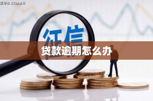 西畴贷款逾期怎么办