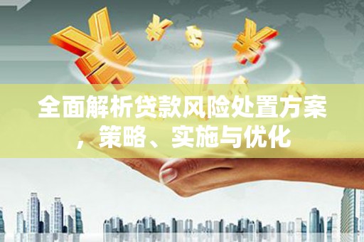 西畴全面解析贷款风险处置方案，策略、实施与优化