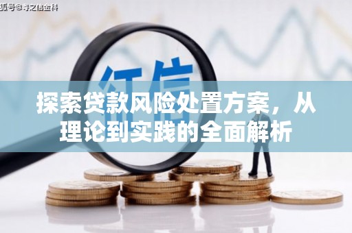 西畴探索贷款风险处置方案，从理论到实践的全面解析