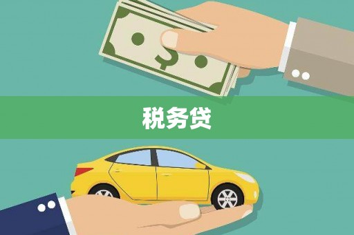 西畴税务贷