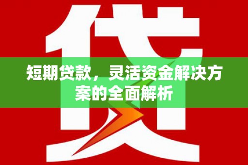 西畴短期贷款，灵活资金解决方案的全面解析