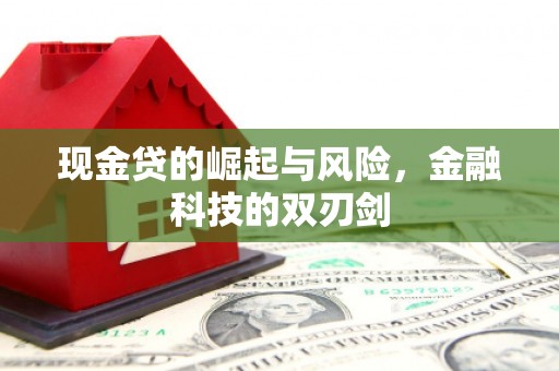 西畴现金贷的崛起与风险，金融科技的双刃剑