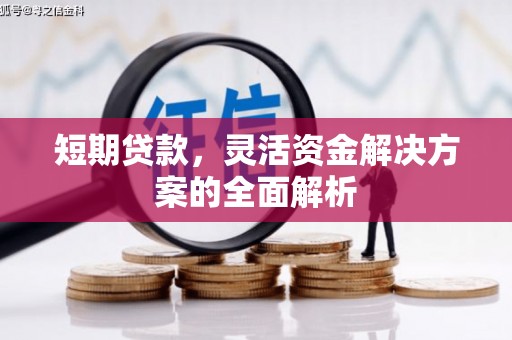 西畴短期贷款，灵活资金解决方案的全面解析