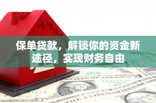 西畴保单贷款，解锁你的资金新途径，实现财务自由