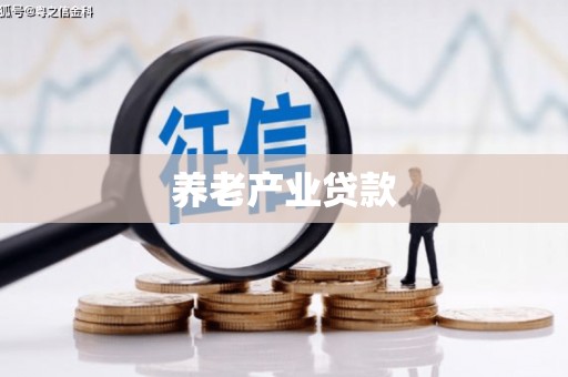 西畴养老产业贷款