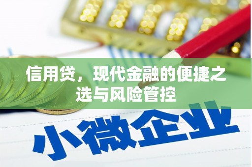 西畴信用贷，现代金融的便捷之选与风险管控