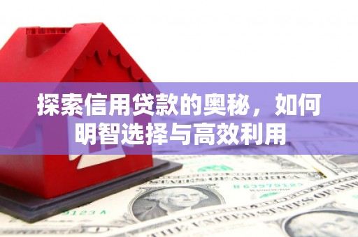 西畴探索信用贷款的奥秘，如何明智选择与高效利用