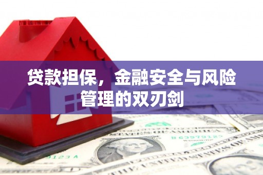 西畴贷款担保，金融安全与风险管理的双刃剑