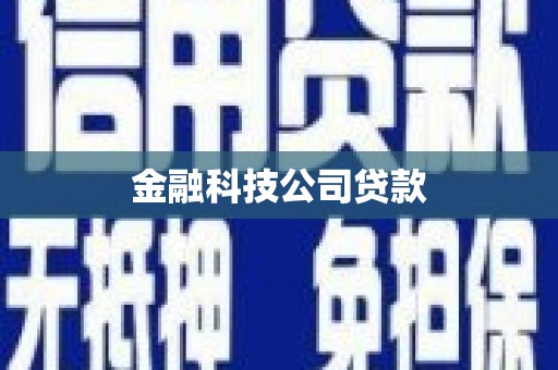 西畴金融科技公司贷款