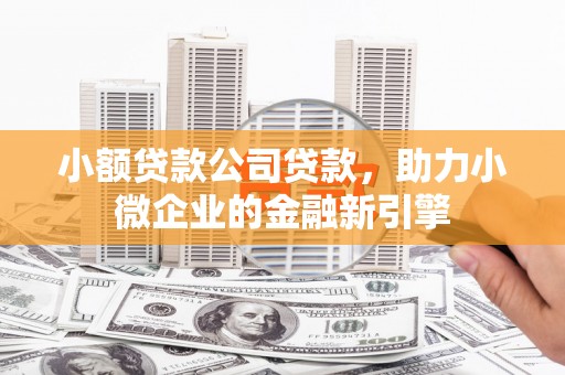 西畴小额贷款公司贷款，助力小微企业的金融新引擎