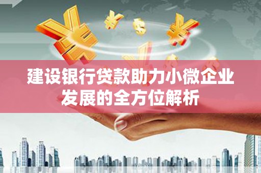 西畴建设银行贷款助力小微企业发展的全方位解析