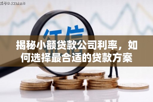 西畴揭秘小额贷款公司利率，如何选择最合适的贷款方案