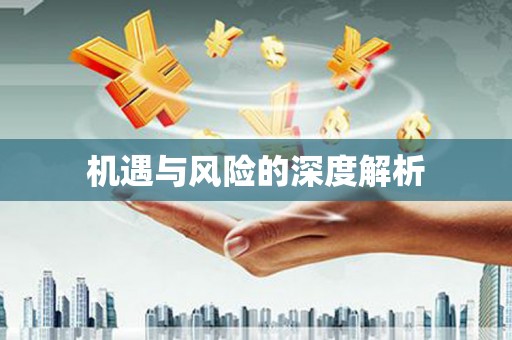 西畴机遇与风险的深度解析