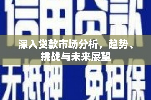 西畴深入贷款市场分析，趋势、挑战与未来展望