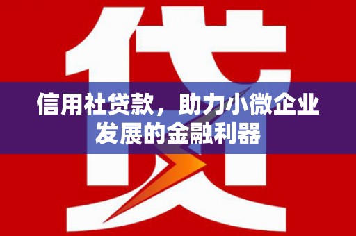 西畴信用社贷款，助力小微企业发展的金融利器
