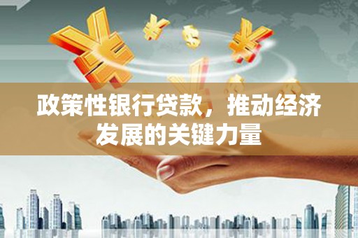 西畴政策性银行贷款，推动经济发展的关键力量