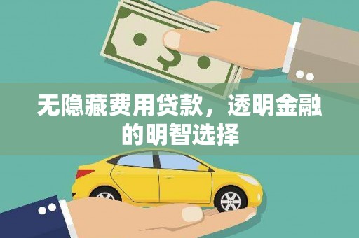 西畴无隐藏费用贷款，透明金融的明智选择