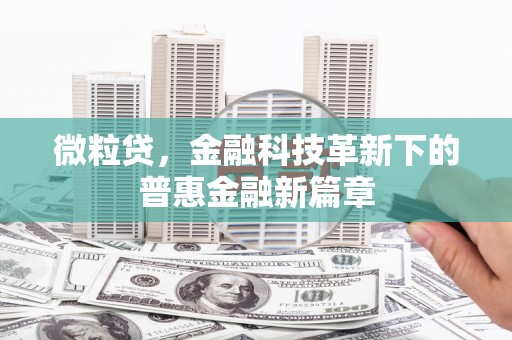 西畴微粒贷，金融科技革新下的普惠金融新篇章