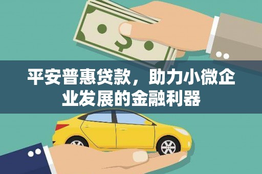西畴平安普惠贷款，助力小微企业发展的金融利器