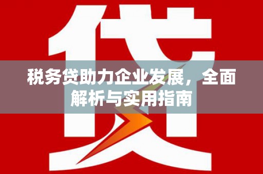 西畴税务贷助力企业发展，全面解析与实用指南