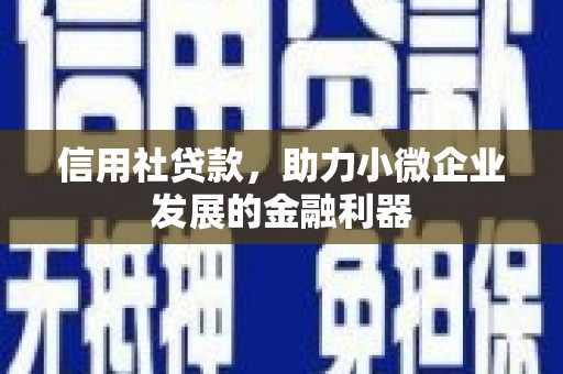 西畴信用社贷款，助力小微企业发展的金融利器
