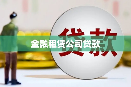 西畴金融租赁公司贷款