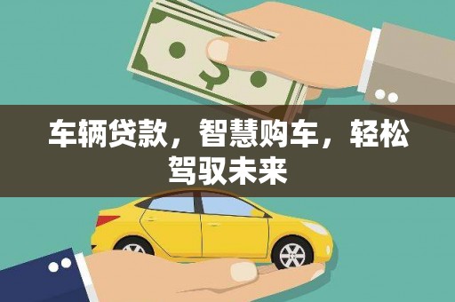 西畴车辆贷款，智慧购车，轻松驾驭未来