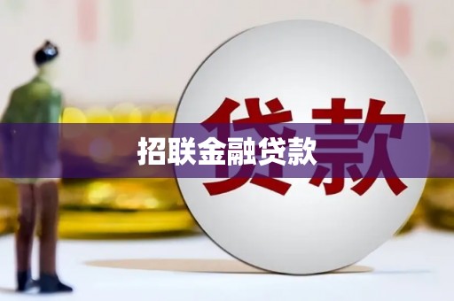 西畴招联金融贷款