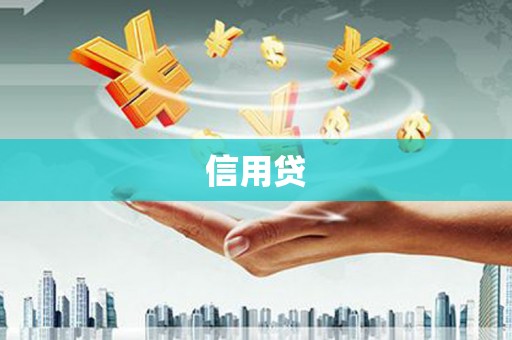 西畴信用贷