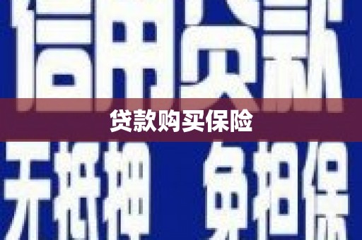 西畴贷款购买保险