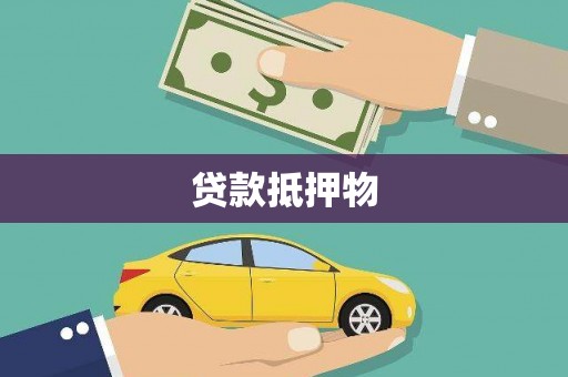 西畴贷款抵押物
