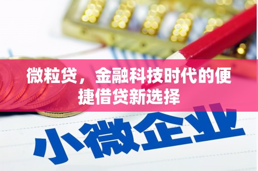 西畴微粒贷，金融科技时代的便捷借贷新选择