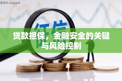 西畴贷款担保，金融安全的关键与风险控制