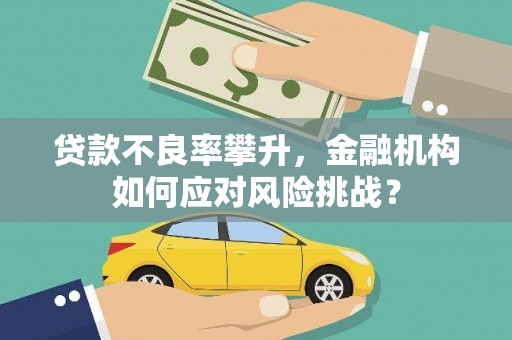 西畴贷款不良率攀升，金融机构如何应对风险挑战？